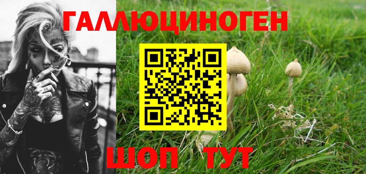 Псилоцибиновые грибы мицелий Ишимбай
