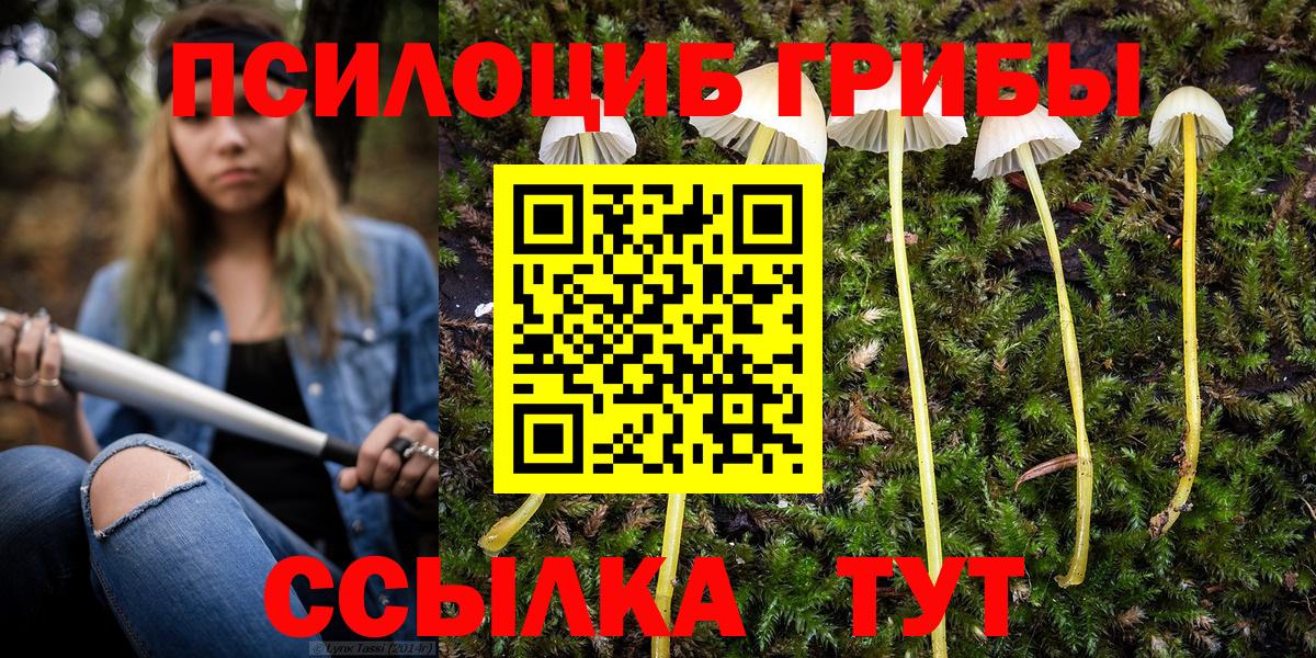 Галлюциногенные грибы Cubensis  Вход с VPN  Ишимбай 